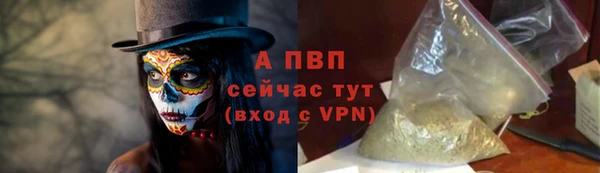 твердый Абаза