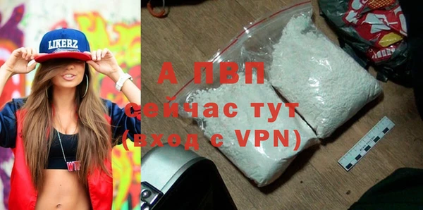 твердый Абаза