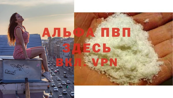 твердый Абаза